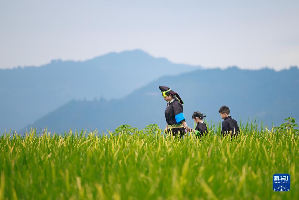 太阳城信誉网站